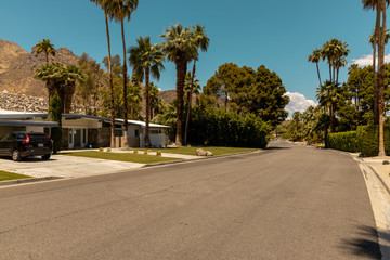 Obraz premium street of palm spring