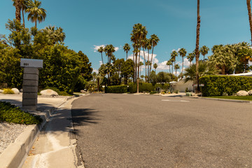 Obraz premium street of palm spring