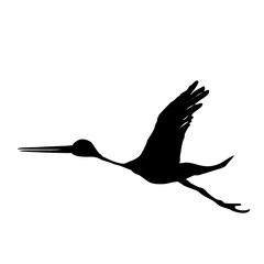 Fototapeta premium Storch schwarz