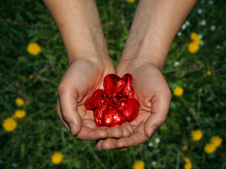 Woman hand holds red chocolate hearts. Green meadow in the background. Valentines day concept.