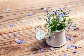 A bouquet of forget-me-nots in a small decorative watering can on an old wooden table.