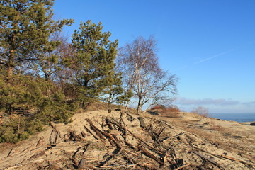 winter views of the Baltic coast gulf