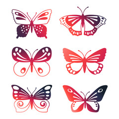 Set of color vector butterflies isolated on white background. Butterfly summer, spring insect illustration