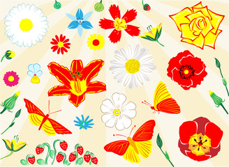 Flowers background and set vector illustration