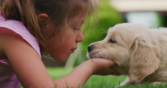Slow motion of little girl lying on the lawn of a garden is cuddling and kissing a puppy of golden retriever dog.
