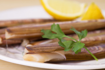 dish of razor clams