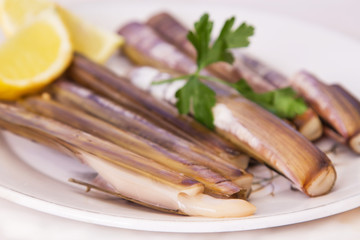 dish of razor clams