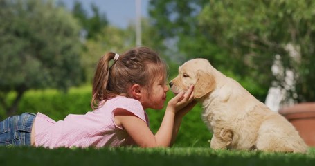 Slow motion of little girl lying on the lawn of a garden is cuddling and kissing a puppy of golden retriever dog. - Powered by Adobe