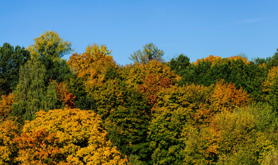 Fototapeta premium Autumn landscape