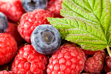 Raspberry blue berry