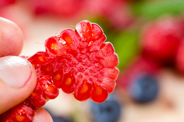 Broken raspberry