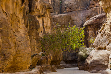 Ancient abandoned rock city of Petra in Jordan tourist attraction