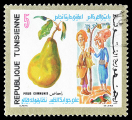 Cancelled postage stamp printed by Tunisia, that shows Two man and a pear, circa 1971.