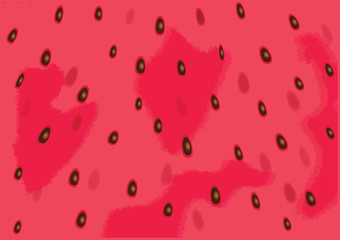 Bright realistic vector red water melon background