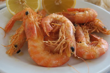 close-up large shrimps, tasty and healthy food