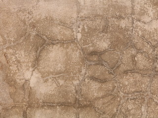 concrete texture closeup