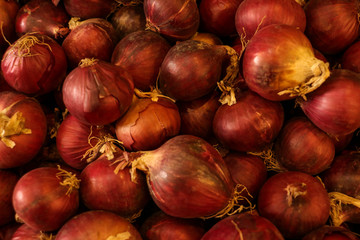 onion background plus