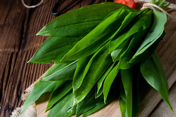 Fototapeta premium allium ursinum fresh ramson with lots of valuable vitamins