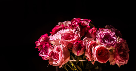 A bouquet of pink roses in sunlight.