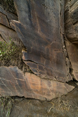Engravings, Archaeological site, Ribeira de Piscos, Côa Valley, Western Iberia, Portugal, Europe, Rewilding Europe