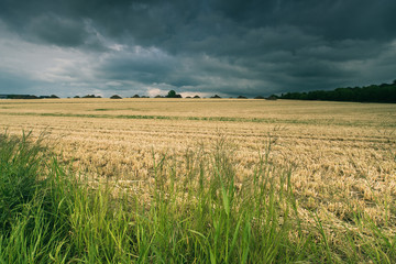 Fototapeta premium Storm clouds approaching over a freshly harvested field of wheat.