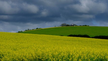 Windmill Hill Farm, Hampshire, UK