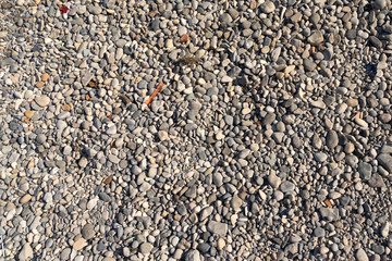 Steine. Meer.  Strand.