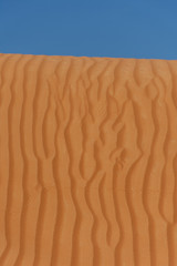 Contrast beautiful deep blue sky and orange rippled pattern sand dunes in the United Arab Emirates. 
