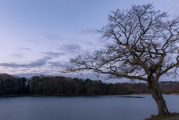 Frozen lake at blue hour