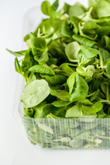 Juicy green spinach in a transparent container. vertical frame