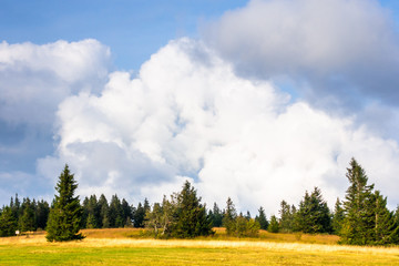 landscape scenery near Freiburg Breisgau south Germany