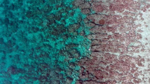aerial birds eye view of man snorkeling at a reef