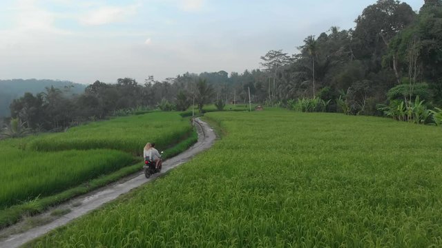 Aerial follow shot of motorbike at rice fields in Bali