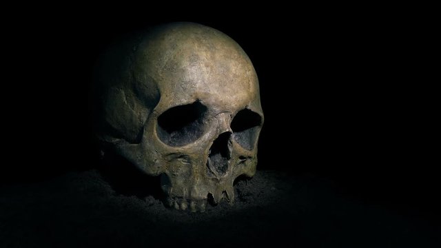 Torch Lights Up Skull On The Ground