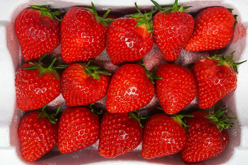 Strawberries in the foam box
