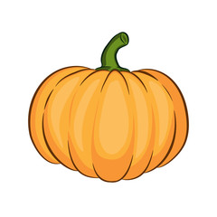 Orange pumpkin vector illustration. icon or print, isolated
