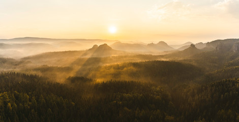 Foggy forest during sunrise in Saxon Switzerland - obrazy, fototapety, plakaty