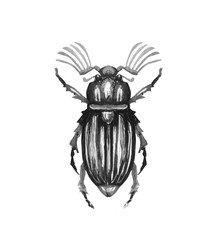 Watercolor bag pattern background illustration 