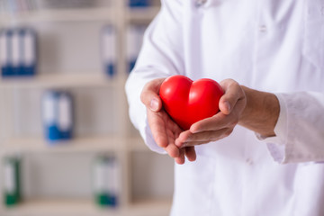 Male doctor cardiologist holding heart model 