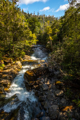 Meander river, national park, Tasmania