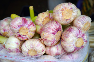 Fresh purple garlic heads at an Italian farmers market