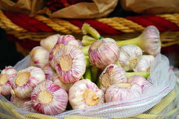 Fresh purple garlic heads at an Italian farmers market