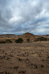 Victoria Valley Road, Landscape, Tasmania, Australia