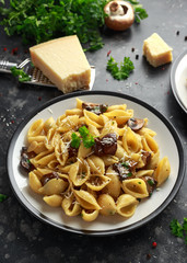 Conchiglie pasta with mushrooms, creamy sauce, parmesan cheese and herbs