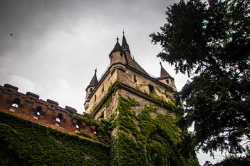 Fototapeta premium Vajdahunyad castle in a Budapest, capital of Hungary