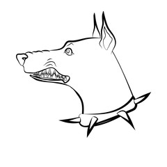 Angry dog. Doberman with grin. Dog with spike collar. Vector linear drawing. - 268502277