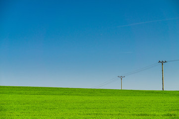 Fototapeta na wymiar Green field with blue sky and power line
