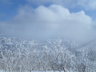 サホロリゾート