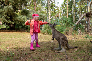 Little girl in pink and read clothes plays in kangaroo. Tasmania. Australia.