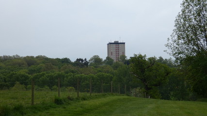 Fototapeta na wymiar Tower Block rising from the forest